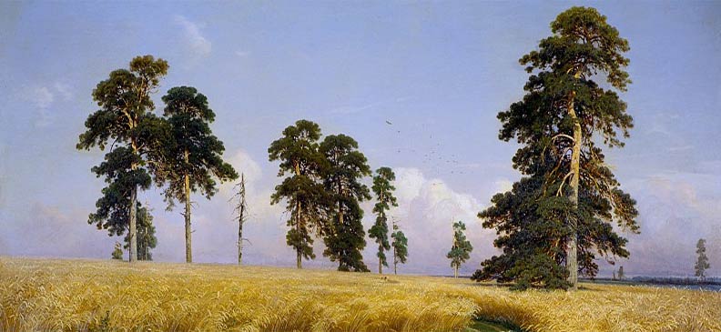 Shishkin Rye