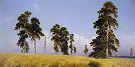 Shishkin