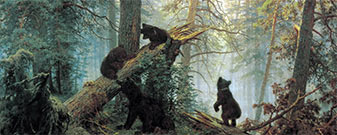 Shishkin